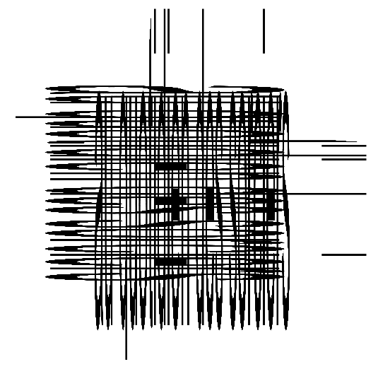 Image postée par le membre