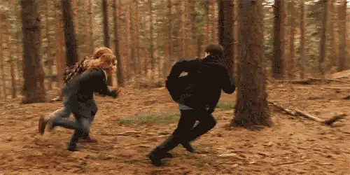Image postée par le membre