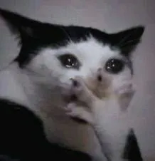 Image postée par le membre