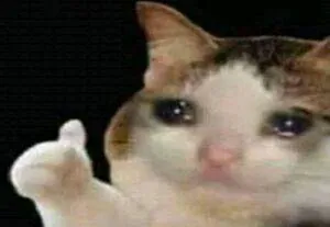 Image postée par le membre