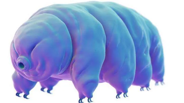 Image postée par le membre