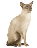 Image postée par le membre