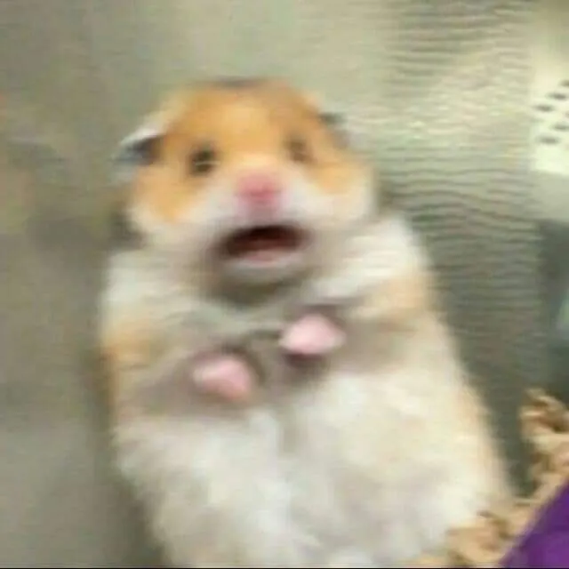 Image postée par le membre