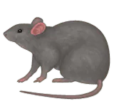 Image postée par le membre