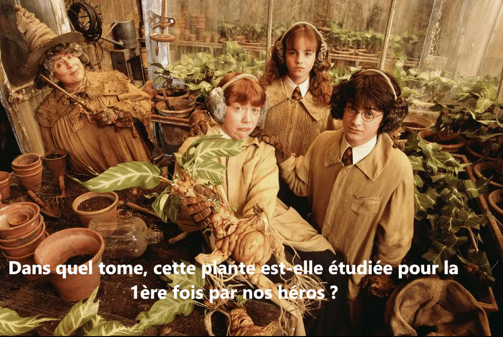Image postée par le membre