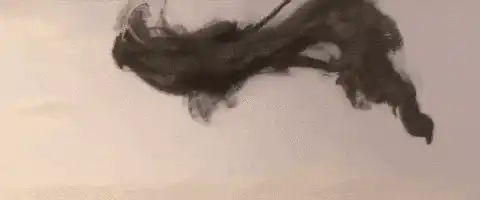 Image postée par le membre