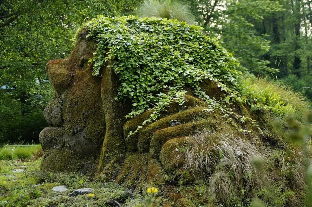Image postée par le membre