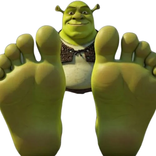 Image postée par le membre