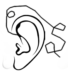 Image postée par le membre