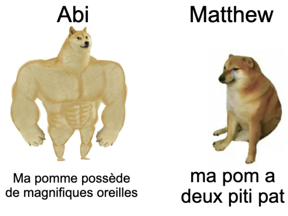Image postée par le membre