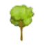 Image postée par le membre