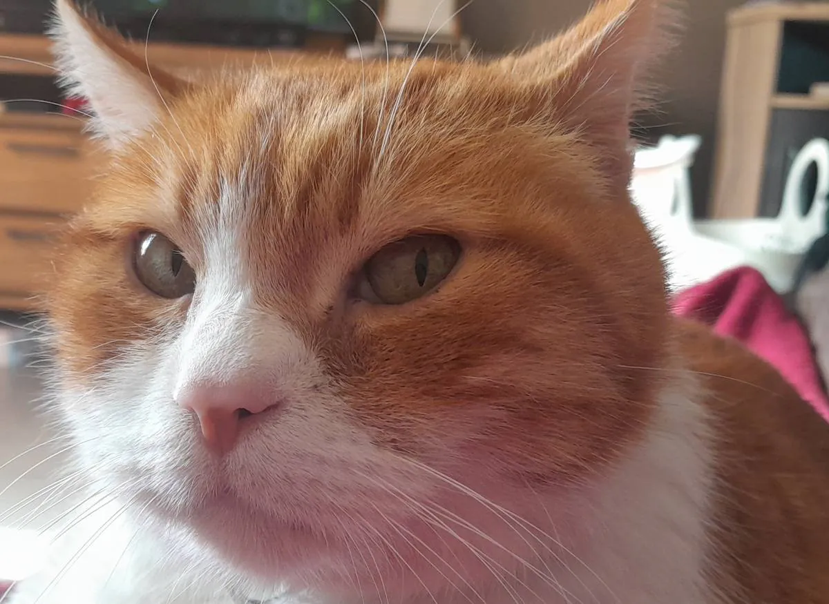 Image postée par le membre