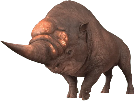 Image postée par le membre