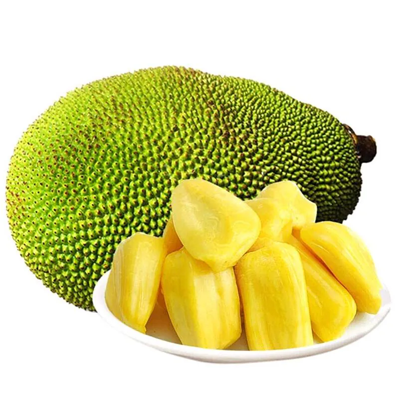 Image postée par le membre