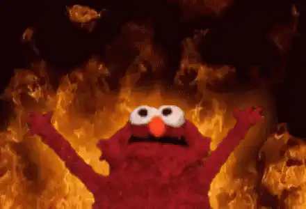 Image postée par le membre