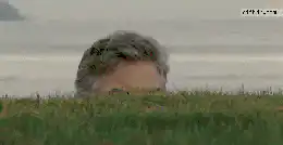 Image postée par le membre