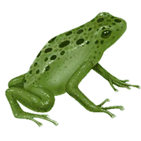 Image postée par le membre