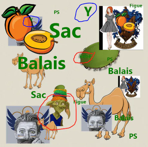 Image postée par le membre