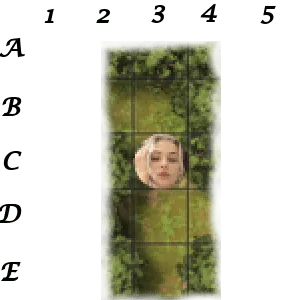 Image postée par le membre