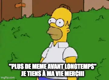 Image postée par le membre