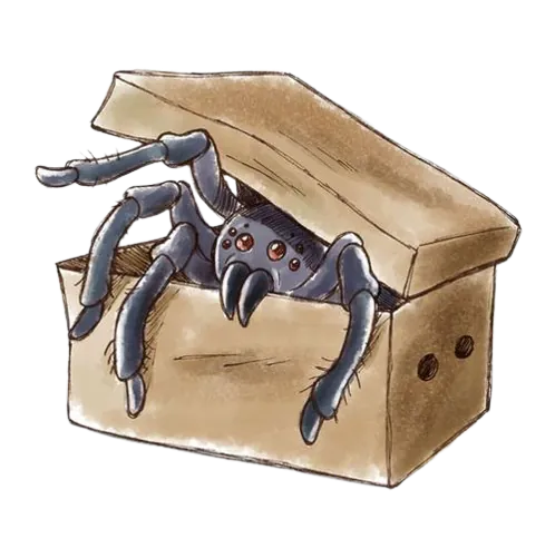 araignée dans une boîte