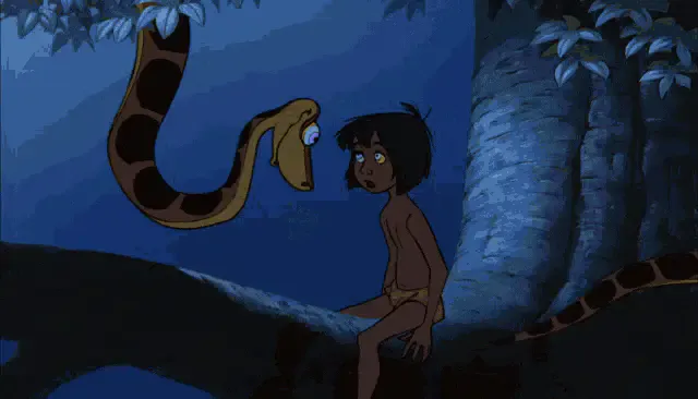 Image postée par le membre