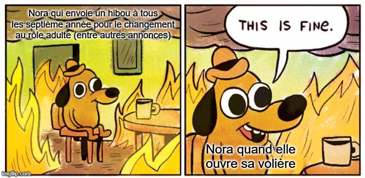 meme avec le chien assis sur une chaise et le feu autour. il dit "this is fine (tout va bien)".