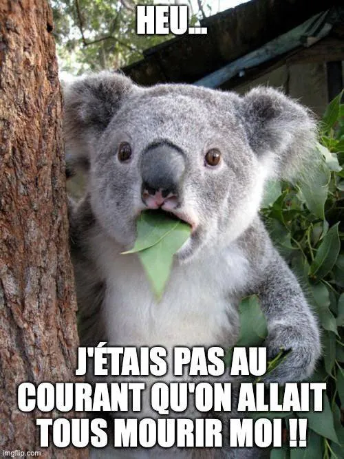 Image postée par le membre