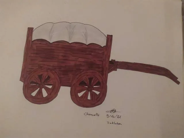 Image postée par le membre