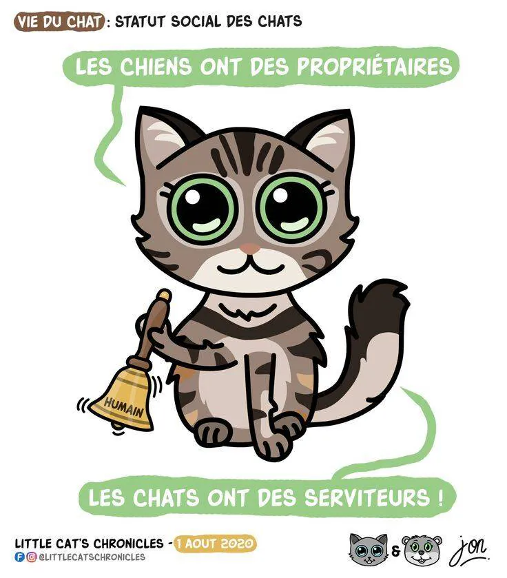 Image postée par le membre