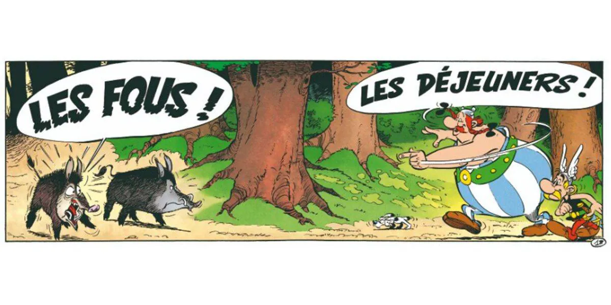 Image postée par le membre