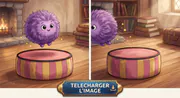 Image postée par le membre