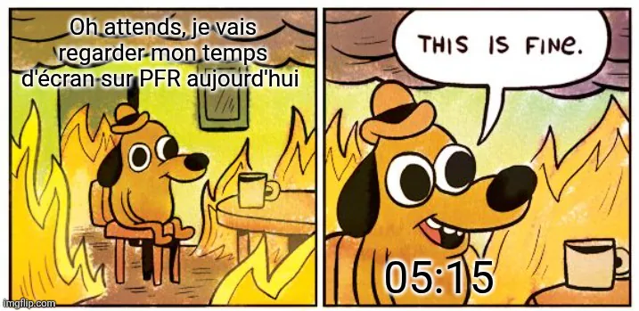 Image postée par le membre