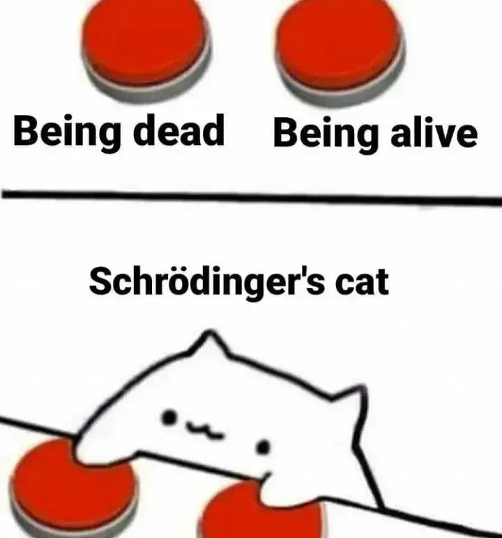 Image postée par le membre