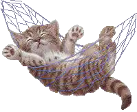 Image postée par le membre