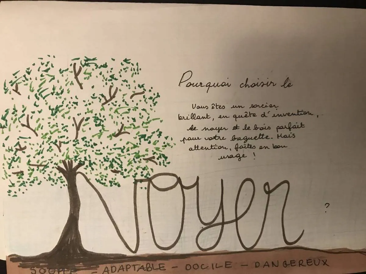 Image postée par le membre