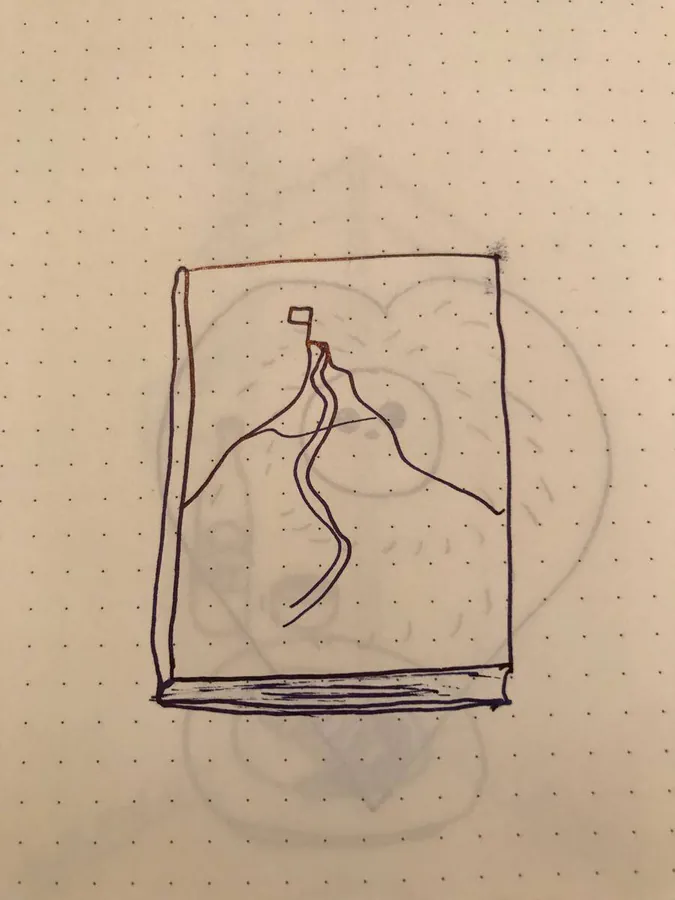 Image postée par le membre