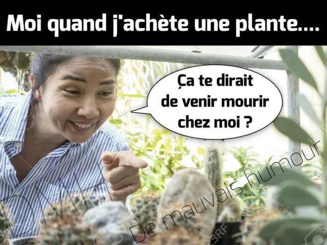 Image postée par le membre