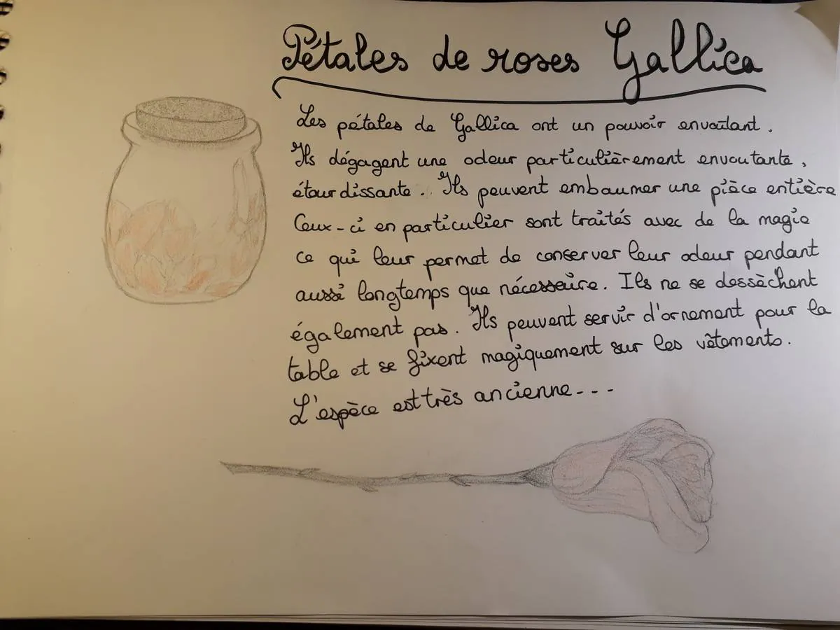 Image postée par le membre