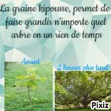 Image postée par le membre
