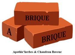 Image postée par le membre