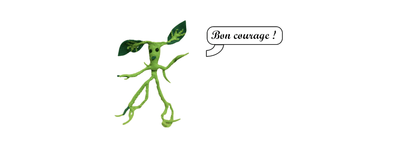 Image postée par le membre
