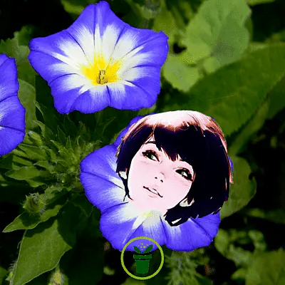 Image postée par le membre