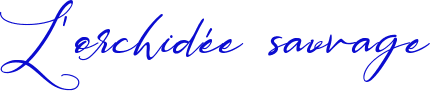 Image postée par le membre