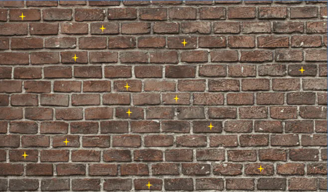Image postée par le membre