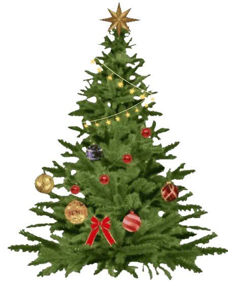 Image postée par le membre