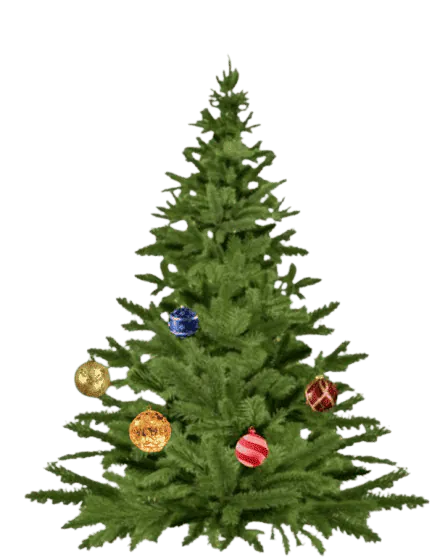 Image postée par le membre
