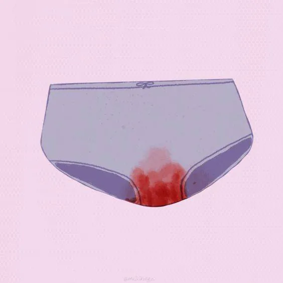 Image postée par le membre