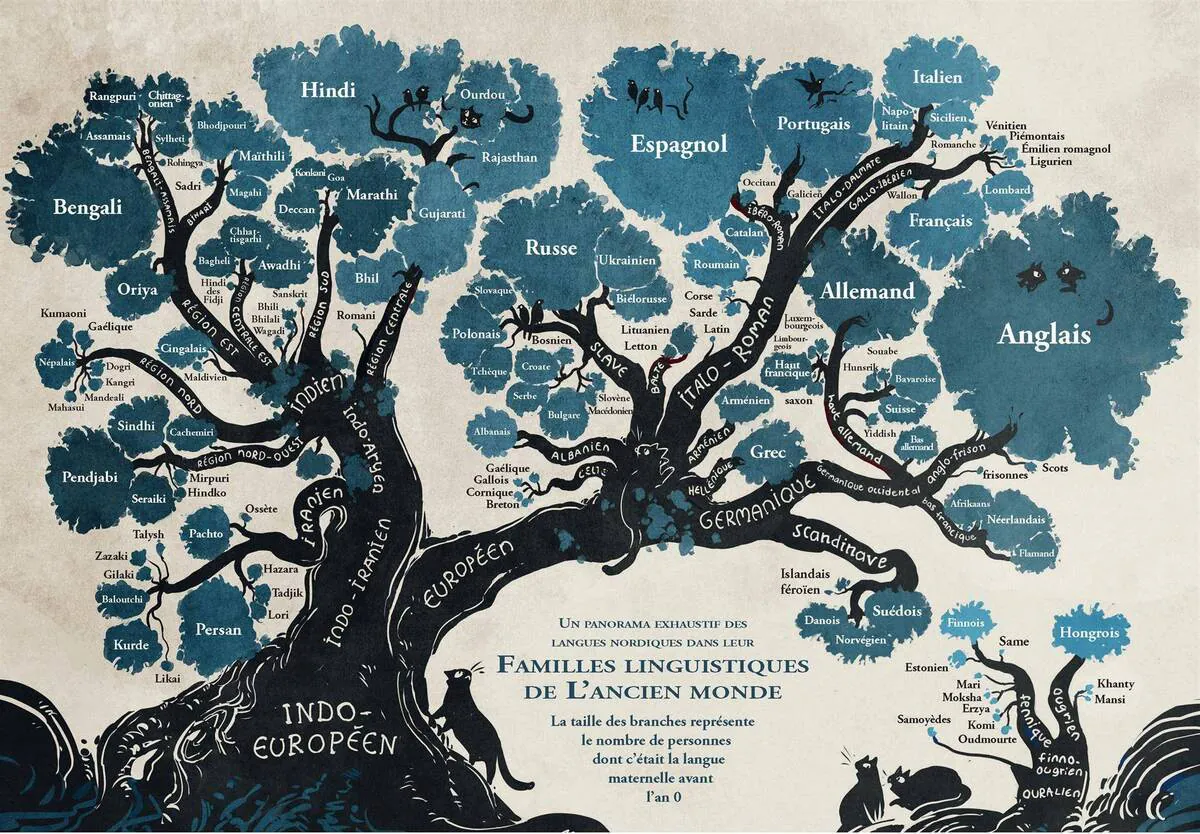 Image postée par le membre