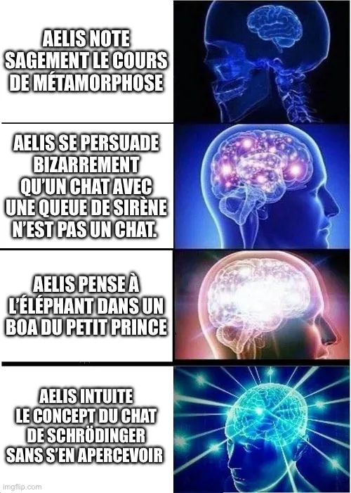 Même du cerveau qui s’allume progressivement : 1 elle suit le cours, 2 elle trouve qu’un chat a une queue de sirène n’est pas un chat, 3 elle pense à l’éléphant dans un Noa du petit Prince, 4 elle induite le concept du chat de Schrödinger